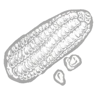 Choclo Corn