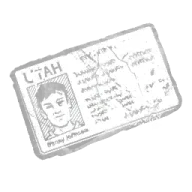 Driver's License