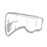 Begrimed Head