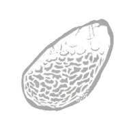 Coarse Stone