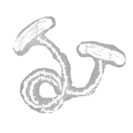 Cutting Wire