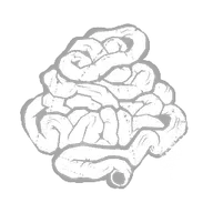Brian’s Intestine