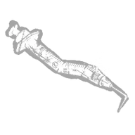 Damaged Syringe