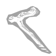 Akito's Crutch