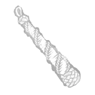 Coxcombed Clapper
