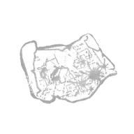 Bloodied Blueprint