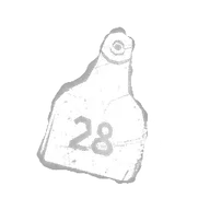 Cattle Tag 28