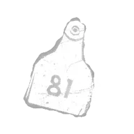 Cattle Tag 81