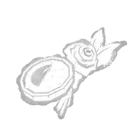 Quarter Moon Bouquet