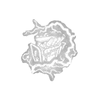 Overcharge
