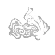 Stridor